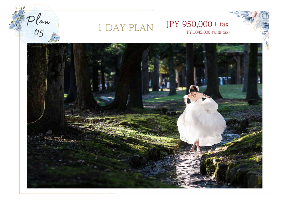 1 Day Plan (The Premium Plan)