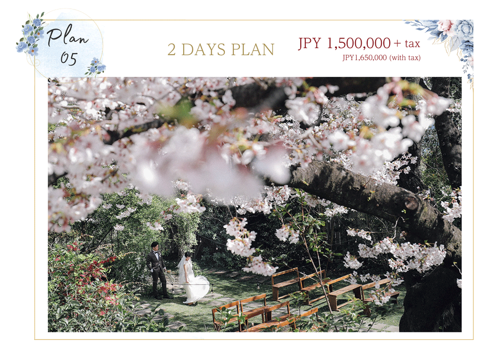 2 Days Plan (The Premium Plan)