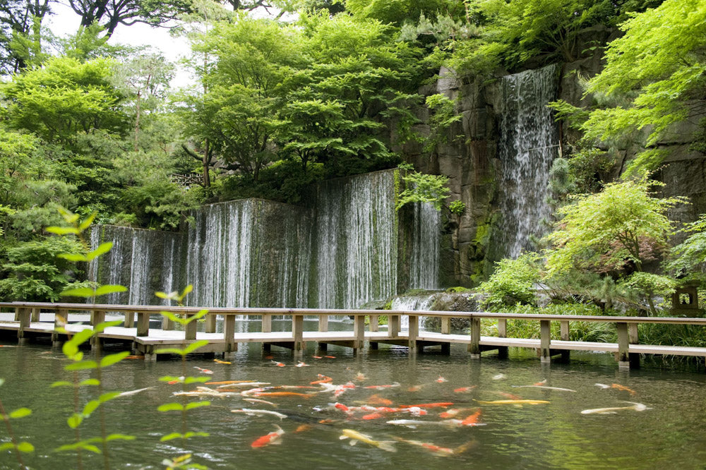 Hotel Gajoen Tokyo