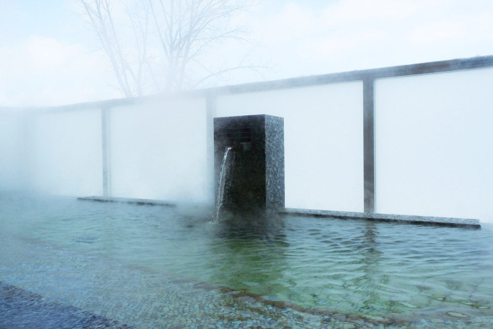 Shin Furano Prince Hotel