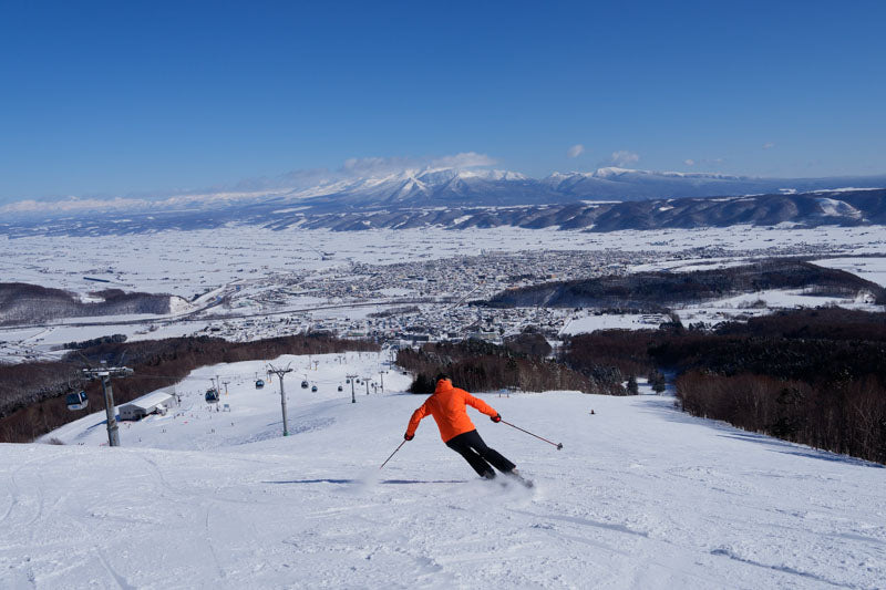Shin Furano Prince Hotel