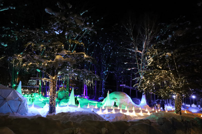 Shin Furano Prince Hotel