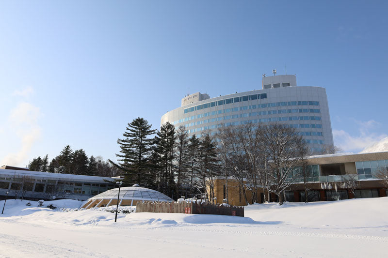 Shin Furano Prince Hotel