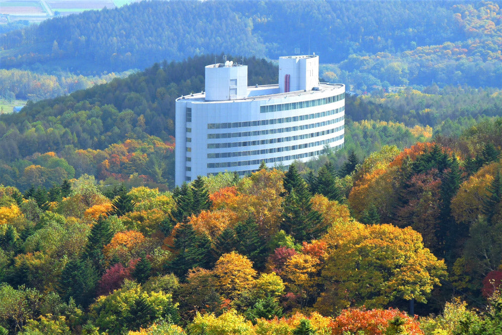 Shin Furano Prince Hotel