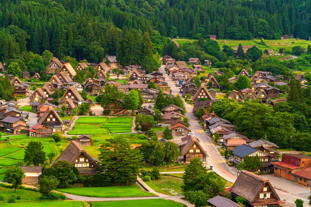1 Day World Heritage Shirakawago & Takayama Tour