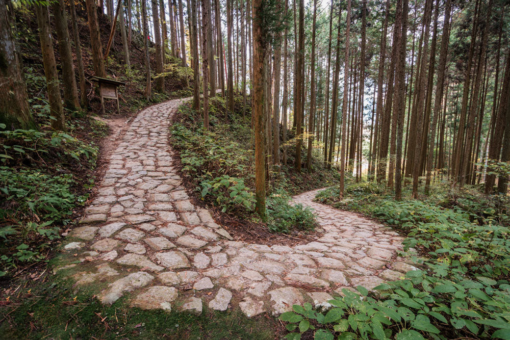Kisoji & Nakasendo: Tsumago & Magome Tour