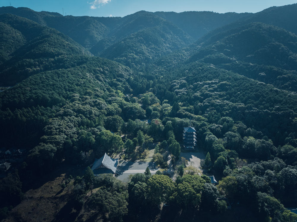 Otobutai 2025
