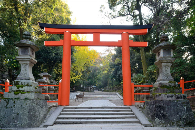 1-Day Kyoto & Nara Tour