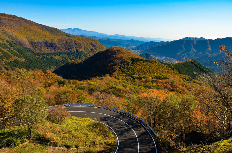 1-Day World Heritage Nikko Walking Tour