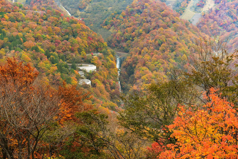 1-Day World Heritage Nikko Walking Tour