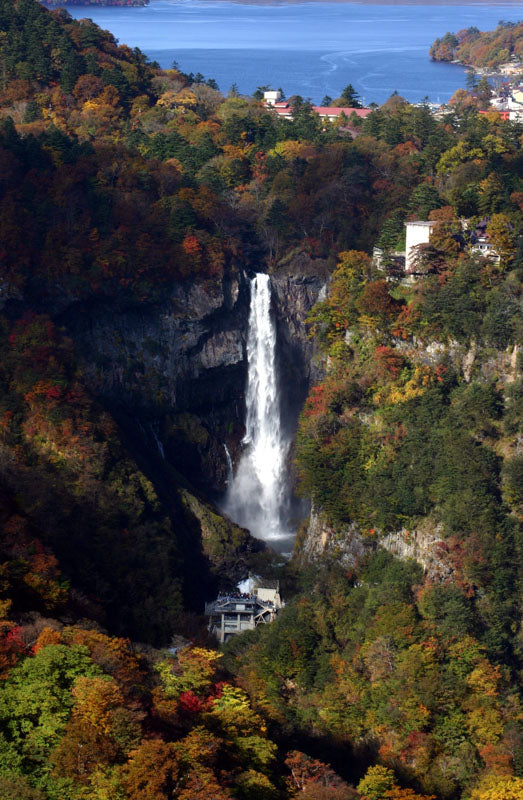 1-Day World Heritage Nikko Walking Tour