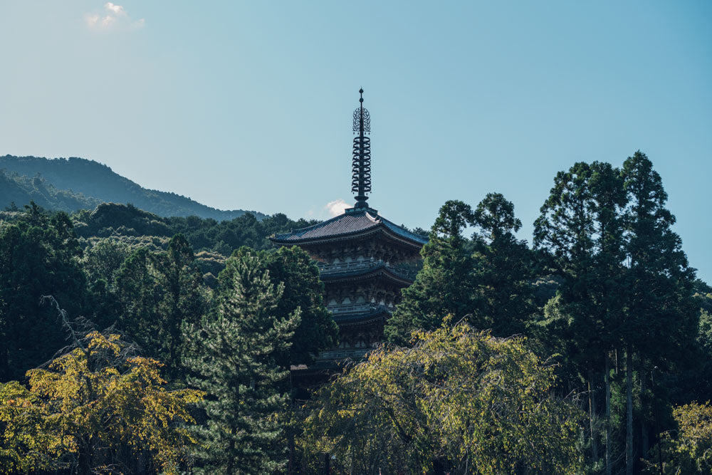 Otobutai 2025