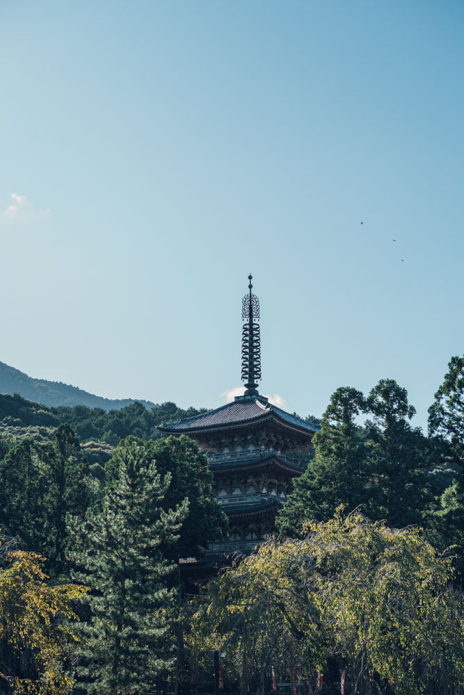 Otobutai 2025