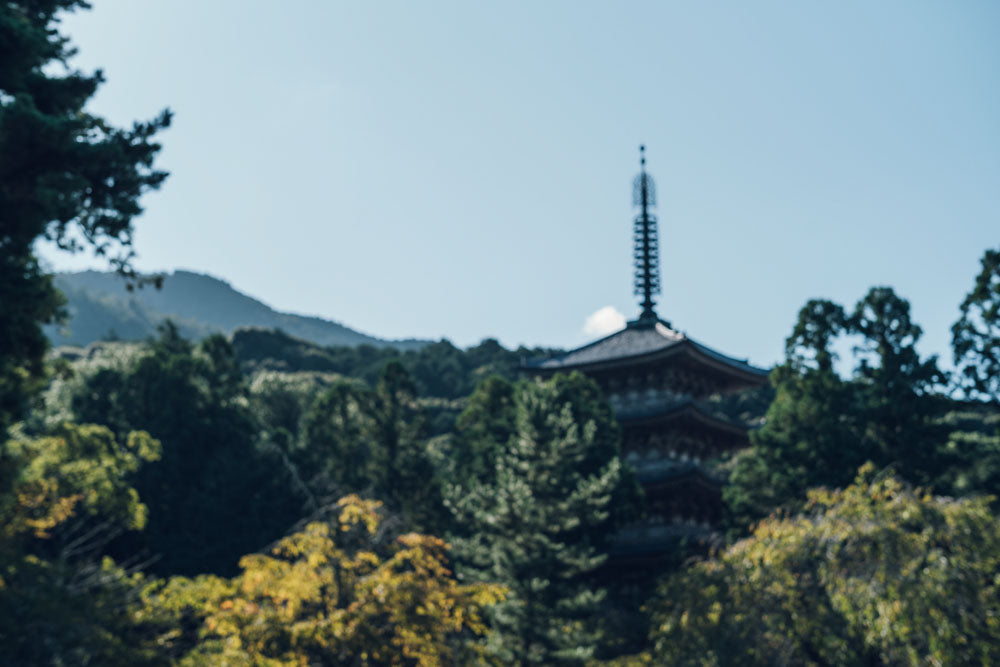 Limited Offer! Invitation Otobutai Ticket with JAL Flights