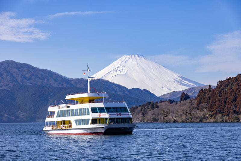 1-Day Mt. Fuji & Hakone Tour