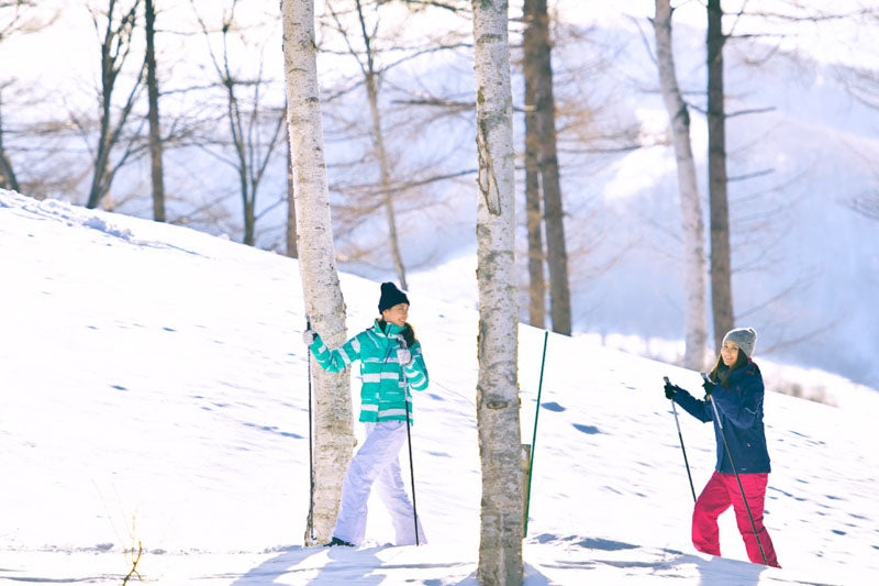 Two people skiing in a snowy landscape with trees.
