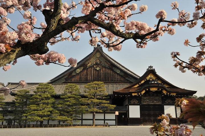 1-Day Kyoto & Nara Tour