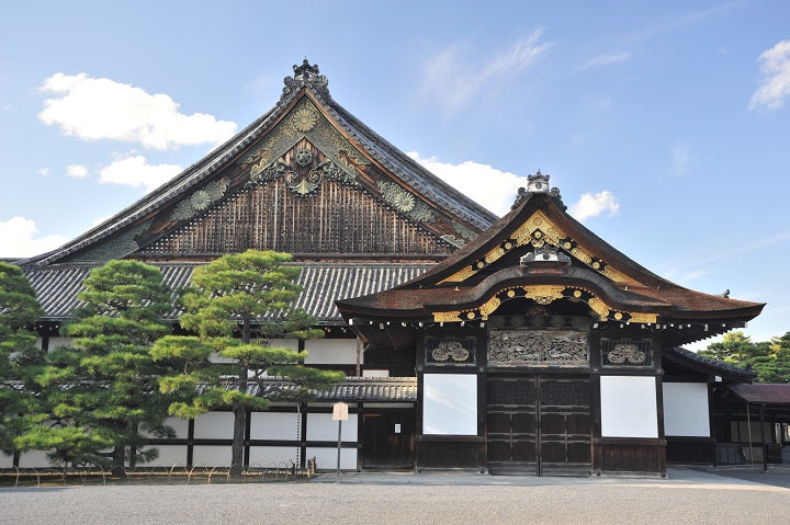 1-Day Kyoto & Nara Tour
