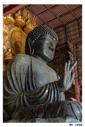 1-Day Kyoto & Nara Tour