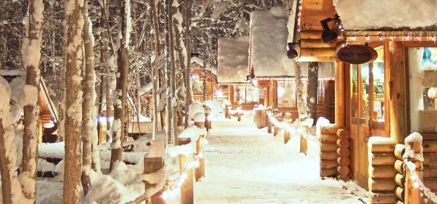 Shin Furano Prince Hotel