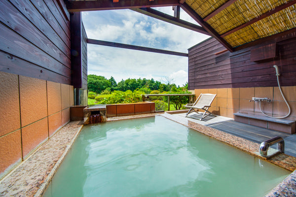 HOTEL GREEN PLAZA HAKONE (Kanagawa)