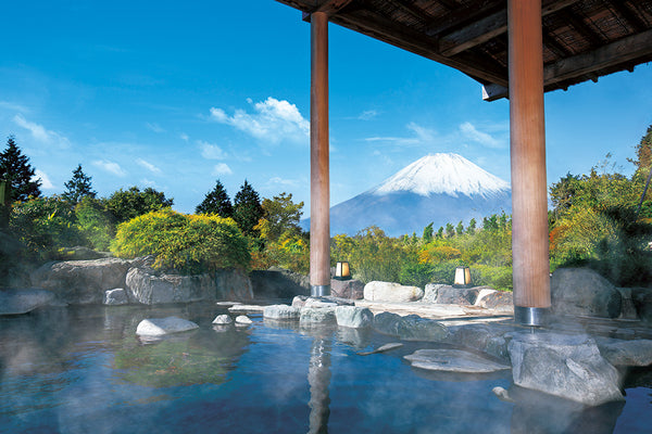 HOTEL GREEN PLAZA HAKONE (Kanagawa)