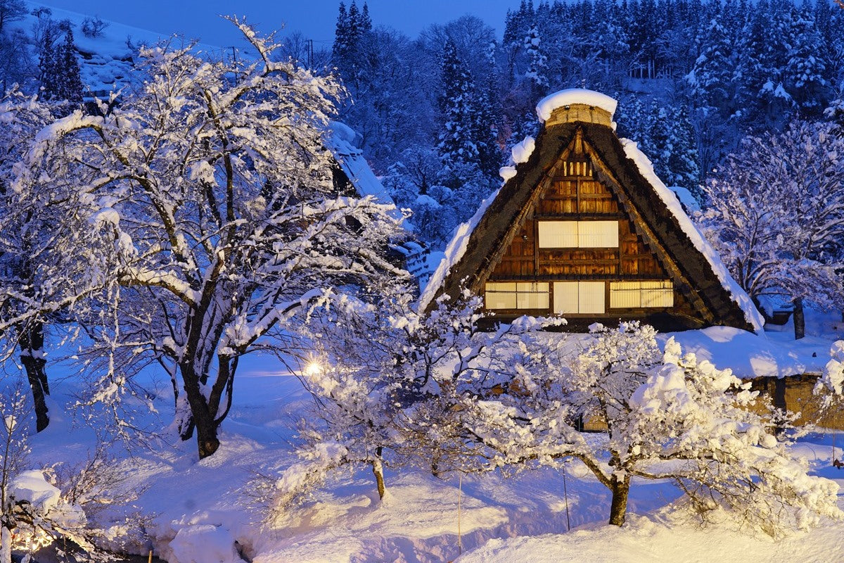 Shirakawa-go Minkaen light up