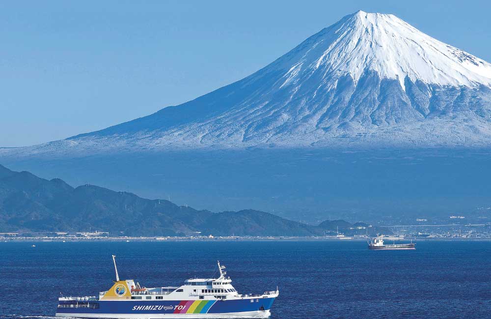 Mt.Fuji-Shizuoka Area Tourist Pass Mini