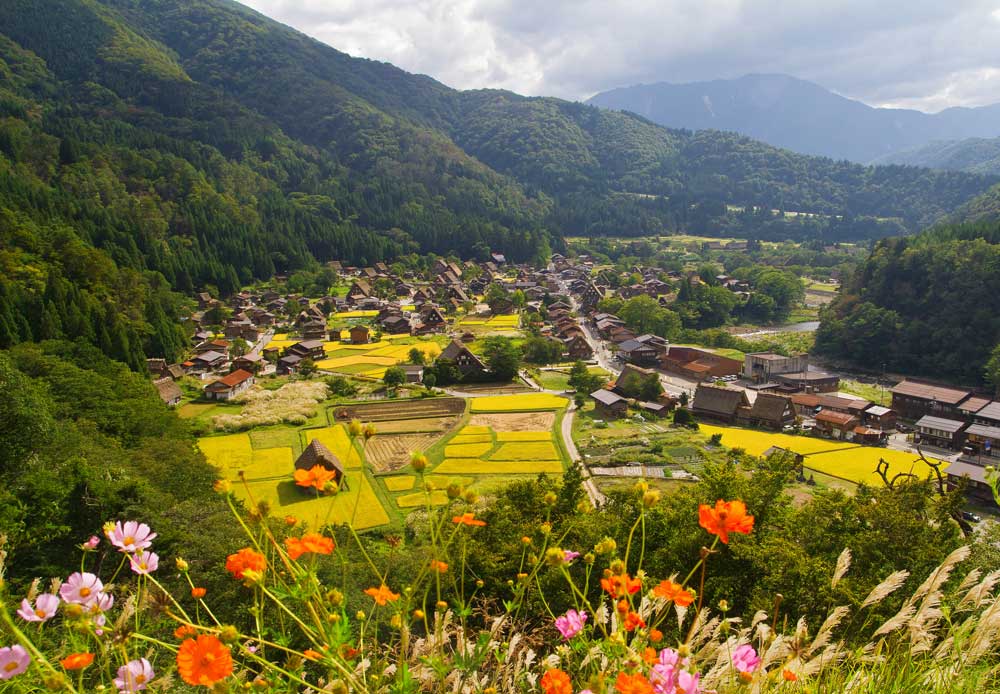 1 Day World Heritage Shirakawago & Takayama Tour
