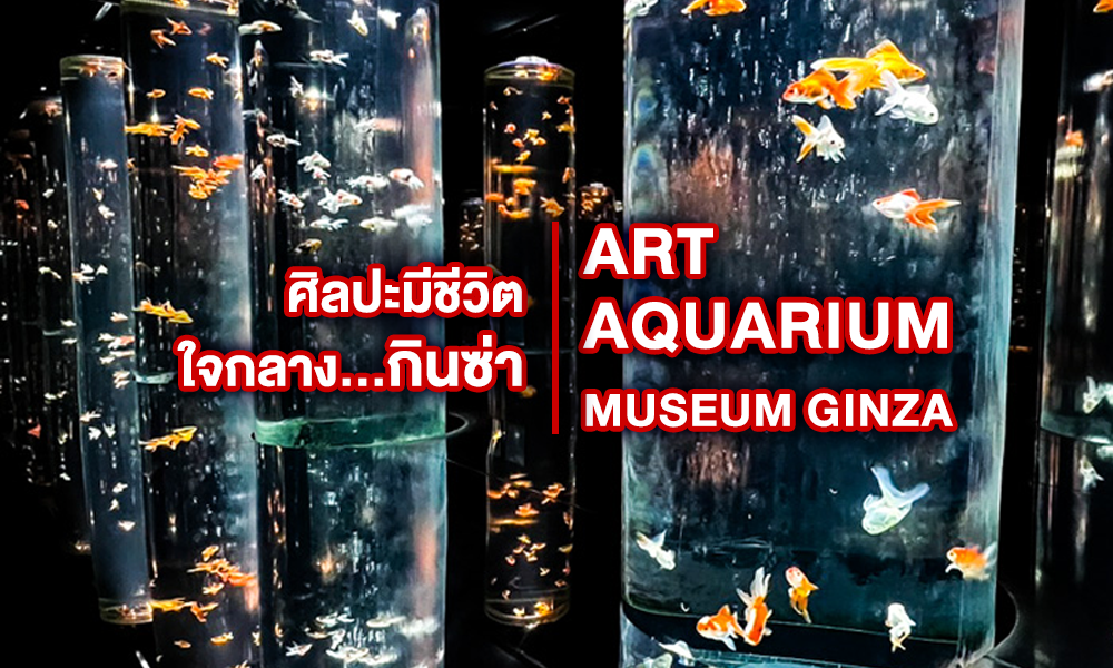 พิพิธภัณฑ์ปลาทอง ศิลปะมีชีวิตใจกลางกินซ่า ART AQUARIUM MUSEUM GINZA