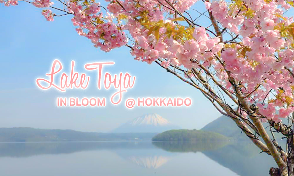 Lake Toya ในฤดูกาลซากุระ ฮอกไกโด