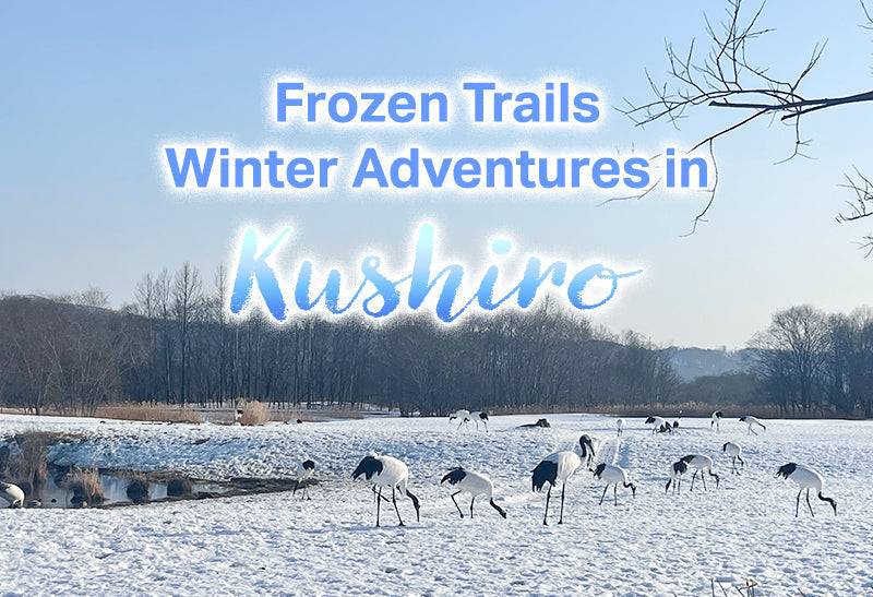 เที่ยวคุชิโระหน้าหนาว