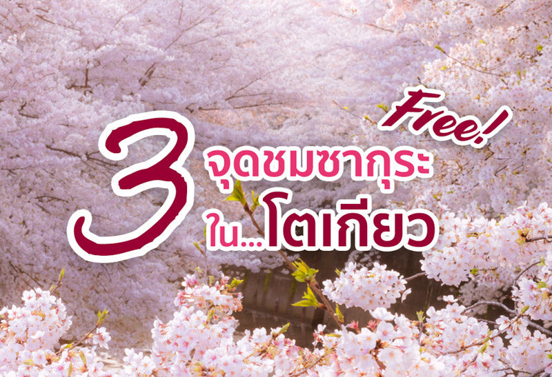 3 จุดชมซากุระ... ฟรีในโตเกียว