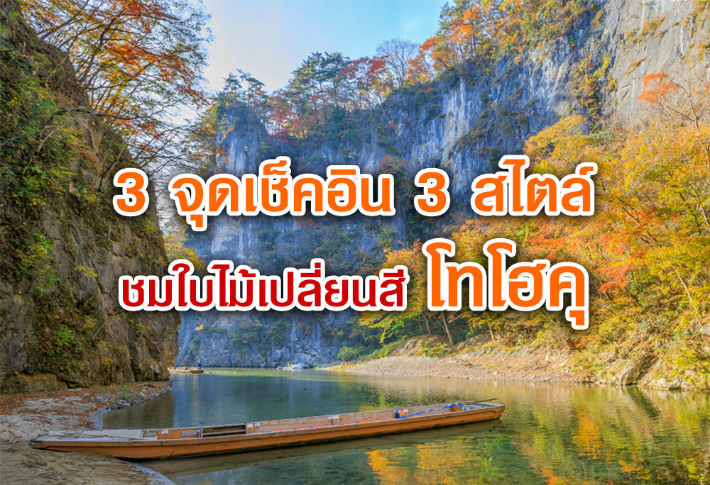 3 จุดเช็คอิน  3 สไตล์ นั่งชิลชมใบไม้เปลี่ยนสีโทโฮคุ