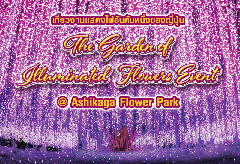The Garden of Illuminated Flowers Event @ Ashikaga Flower Park