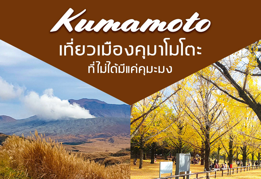 เที่ยวคุมาโมโตะที่ไม่ได้มีแค่คุมะมง