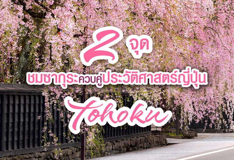 2 จุดชมซากุระควบคู่ประวัติศาสตร์ญี่ปุ่น ในโทโฮคุ (Tohoku)