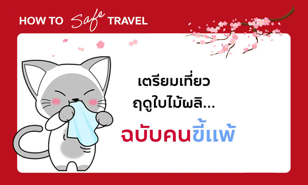 เตรียมเที่ยว ฤดูใบไม้ผลิ... ฉบับคนขี้แพ้