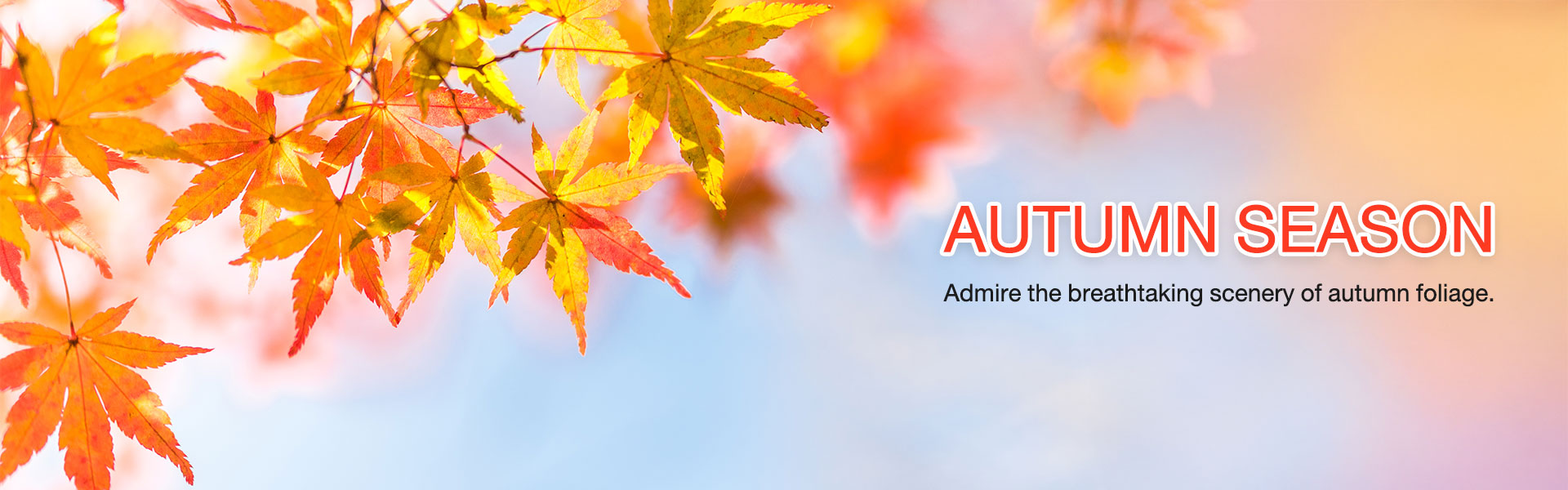 Featured Tour - Autumn season