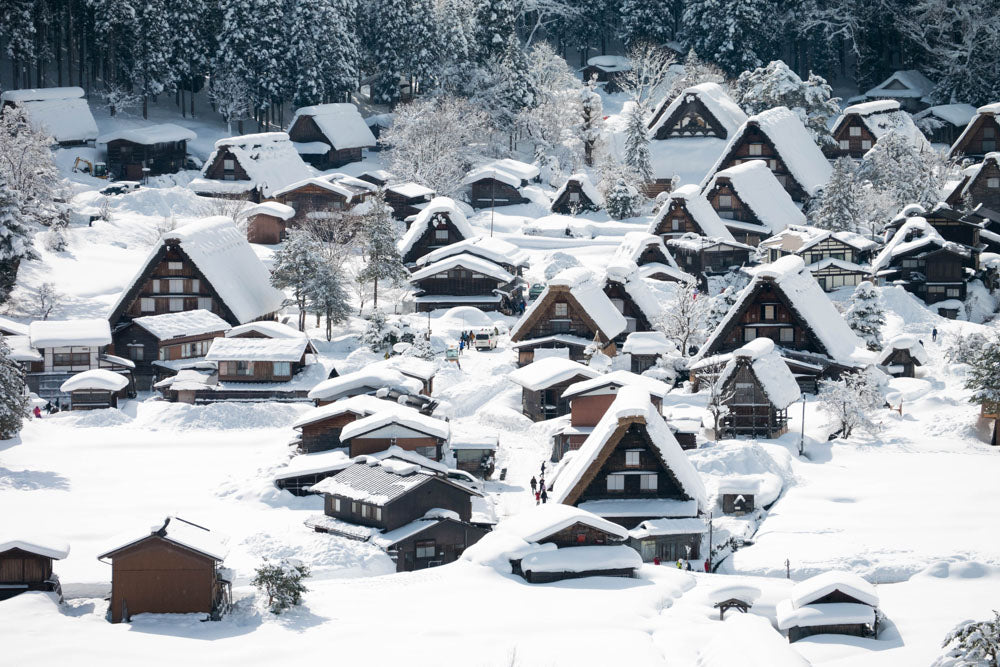 Chubu Area - Recommended Snow Destination