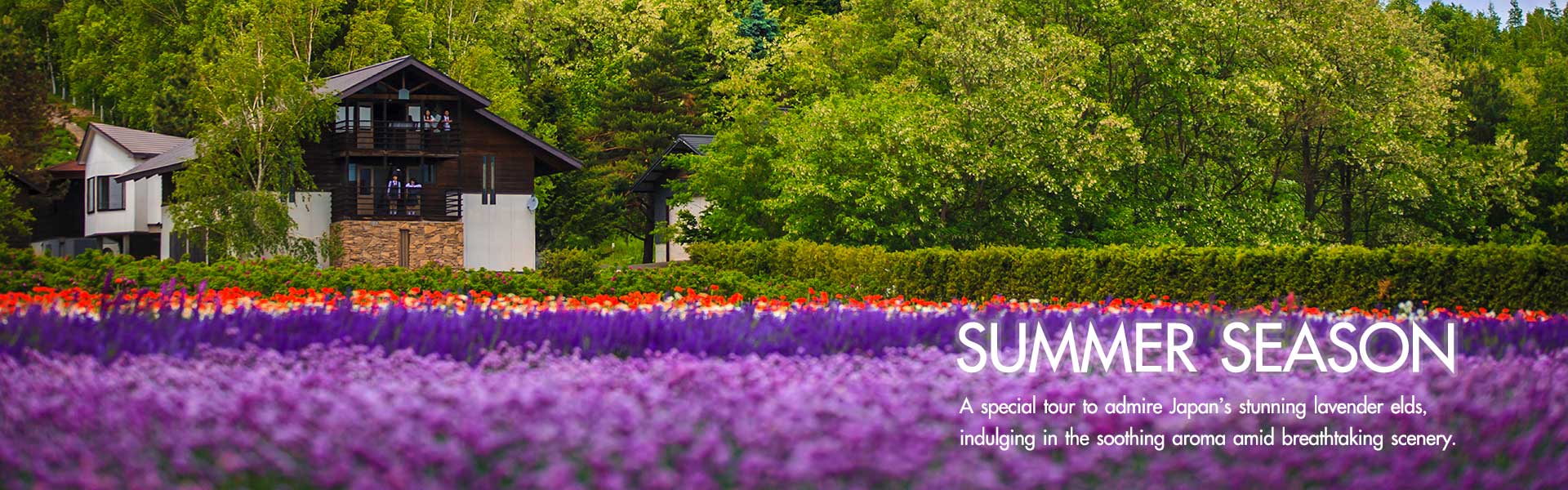 Featured Tour - Summer Season