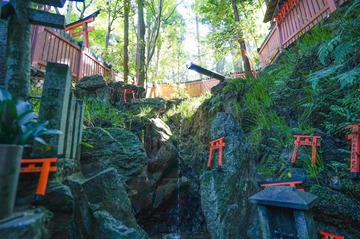 Fushimi Inari Hidden Hiking Tour