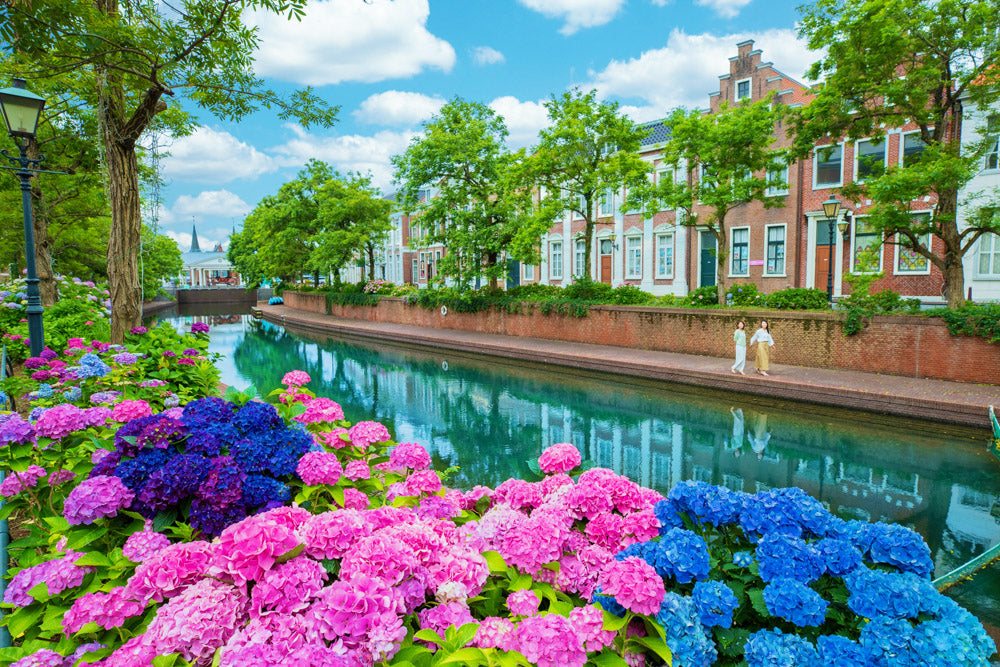 Huis Ten Bosch