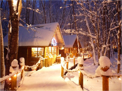 Shin Furano Prince Hotel