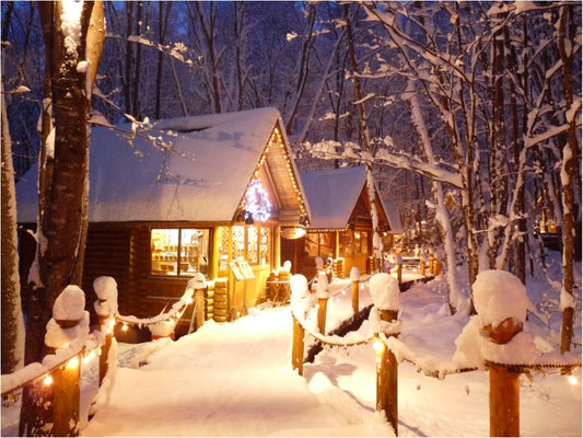 Shin Furano Prince Hotel