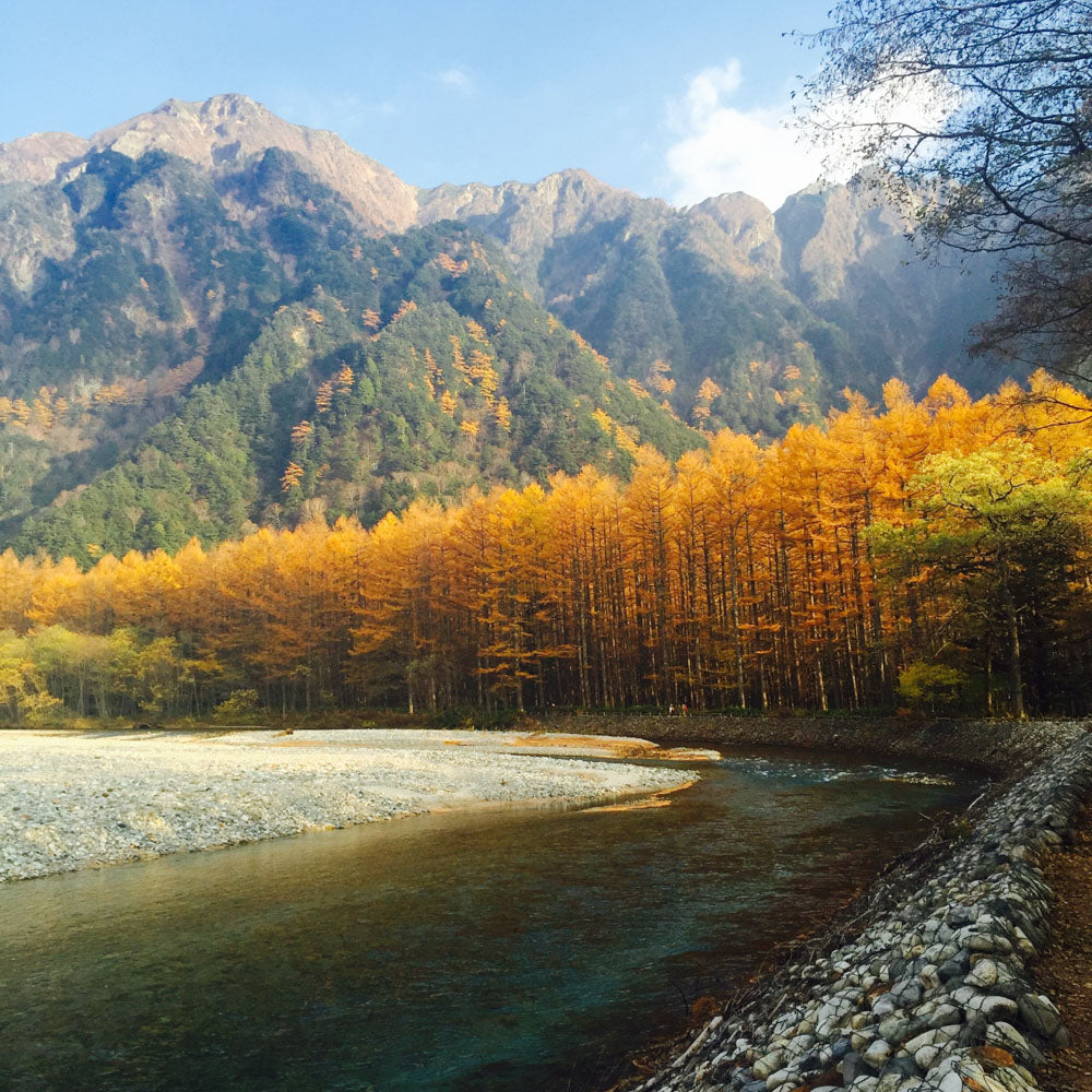 Autumn Scenery of Northern and Central Japan