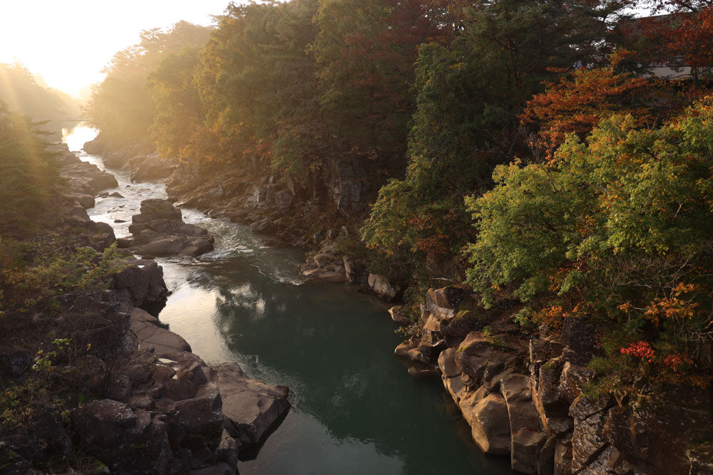 Autumn leaves journey from Aomori to Tokyo