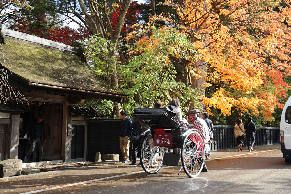 Autumn leaves journey from Aomori to Tokyo