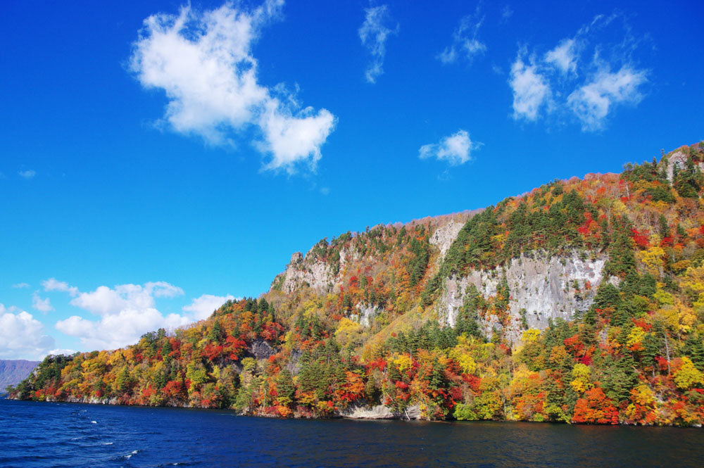 Autumn leaves journey from Aomori to Tokyo