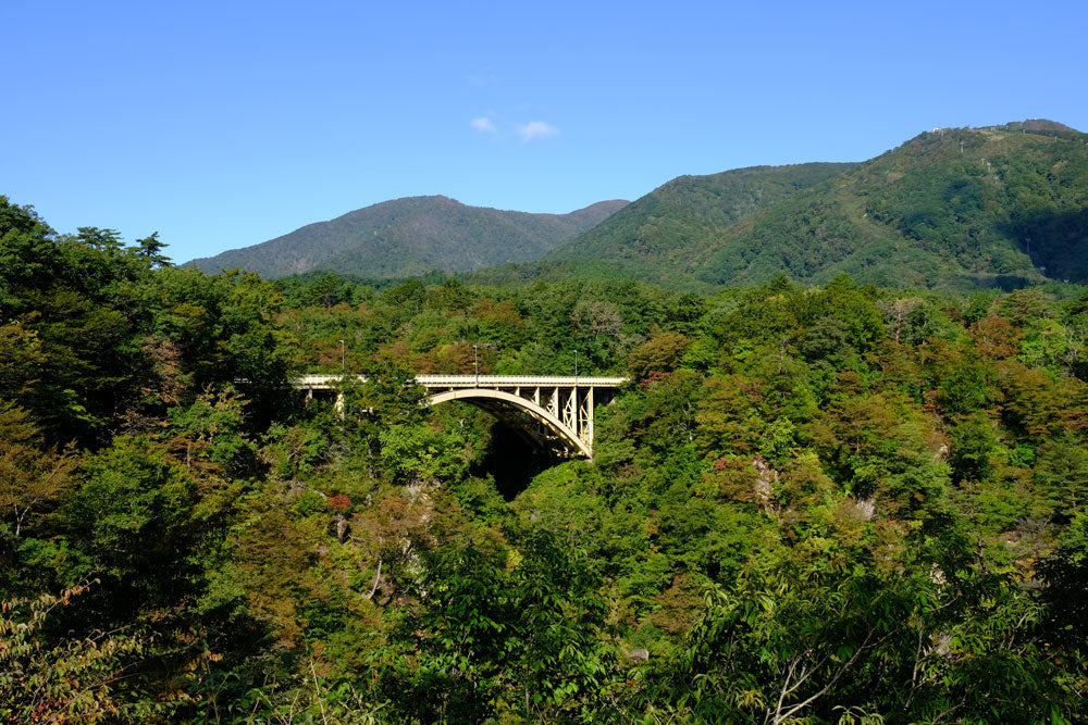 Summer Trip in TOHOKU